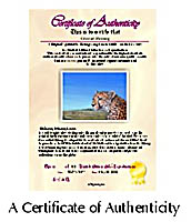 certificate.jpg 172x200