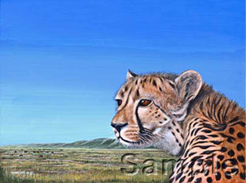 cheetah-hunting