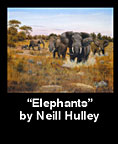 Neill Hulley