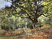forrest-fontainbleau