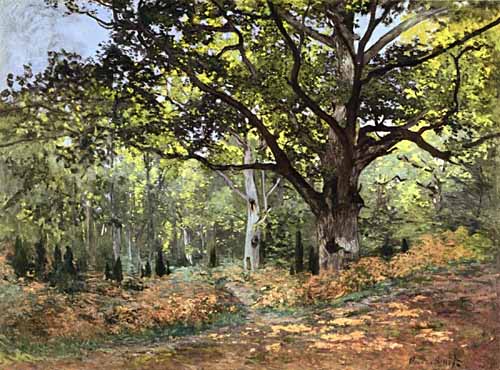 forrest-fontainbleau