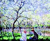 spring