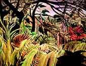 tropical-storm-tiger2