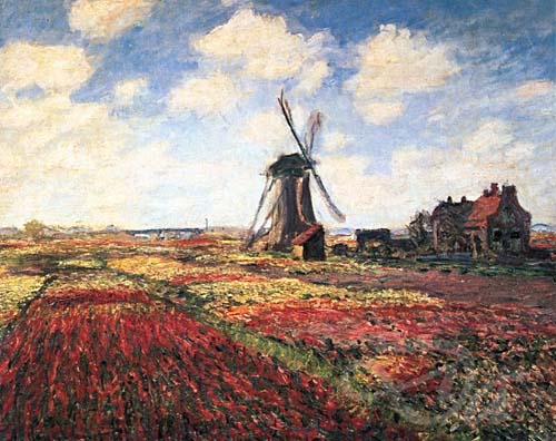tulips-windmill6